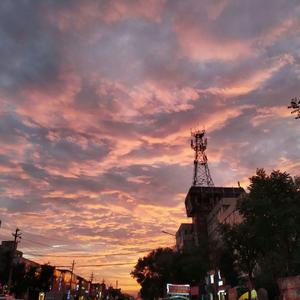 无码精品少妇一区二区三区久久久
