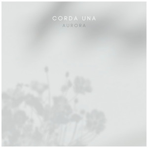 无码精品少妇一区二区三区久久久
